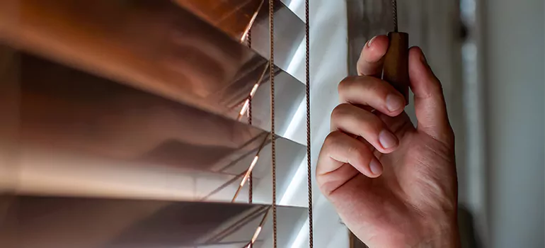 Double Roller Blinds in Fort Lauderdale, FL