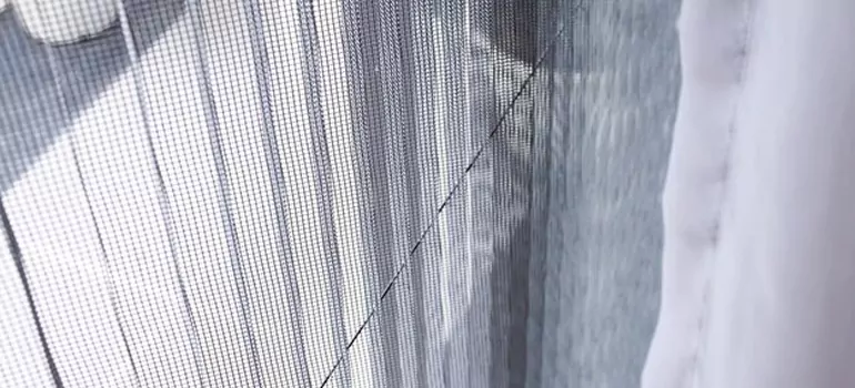 Fixing Screen Window Mesh in Fort Lauderdale, FL