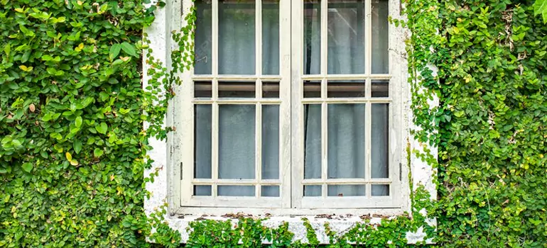 Garden Window Repair Near Me in Fort Lauderdale, FL