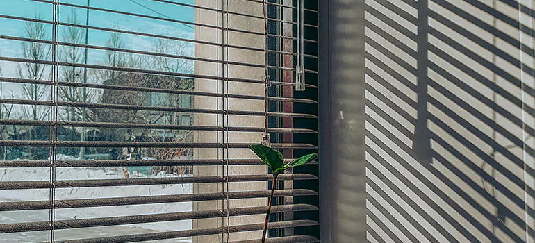 Commercial Window Blinds in Fort Lauderdale, FL