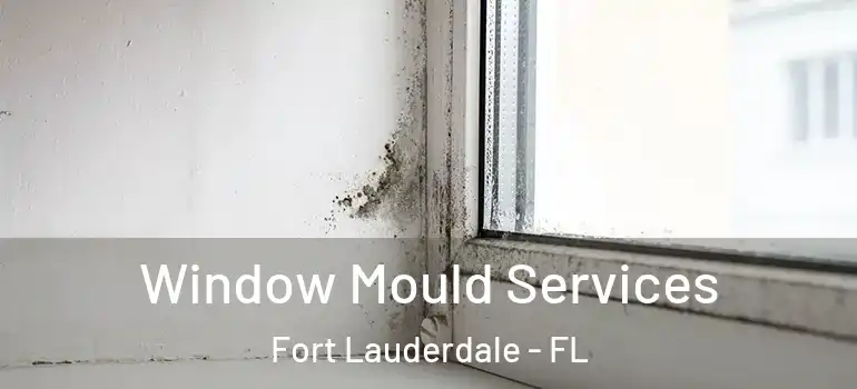  Window Mould Services Fort Lauderdale - FL